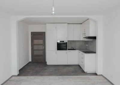 Renovierung der Innenräume von Wohnungen 03